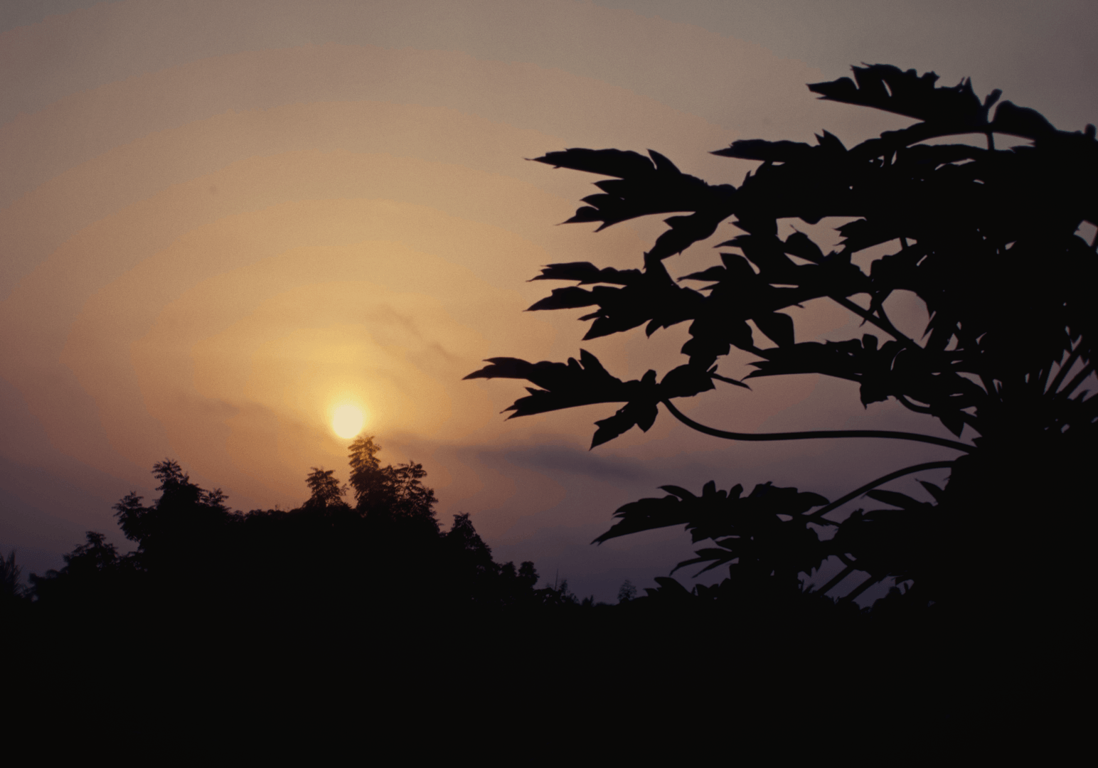 Scène de cuisine partagée pendant une immersion villageoise